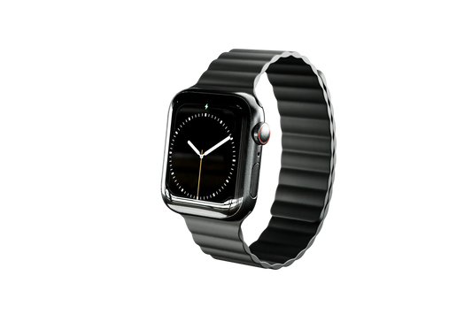 Apple Magnetic Watch Band - Black